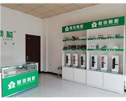 兰山、罗庄、河东安装指纹锁，指纹锁维修